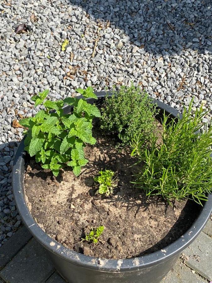 Chalet Valkenbosch Groenvink 85 Oisterwijk Dış mekan fotoğraf
