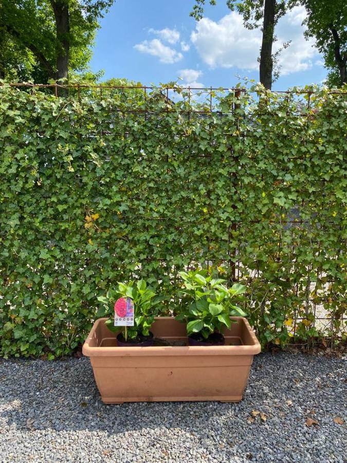 Chalet Valkenbosch Groenvink 85 Oisterwijk Dış mekan fotoğraf